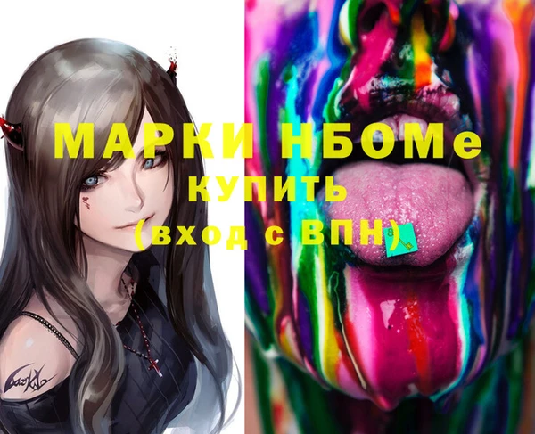мдпв Бородино