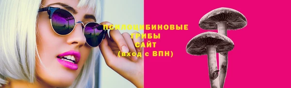 амф Верея