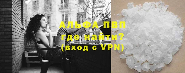 амф Верея