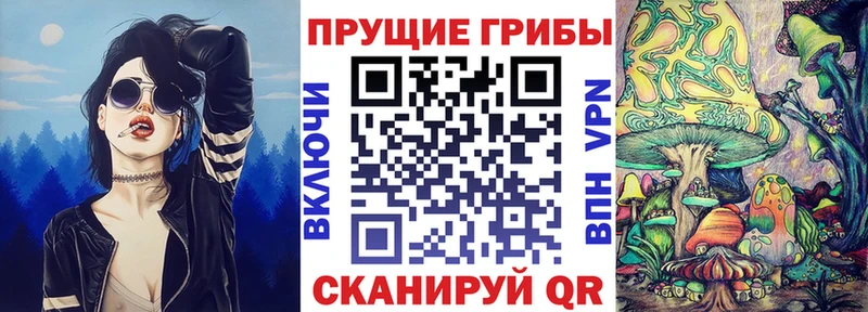 Псилоцибиновые грибы Psilocybine cubensis Геленджик